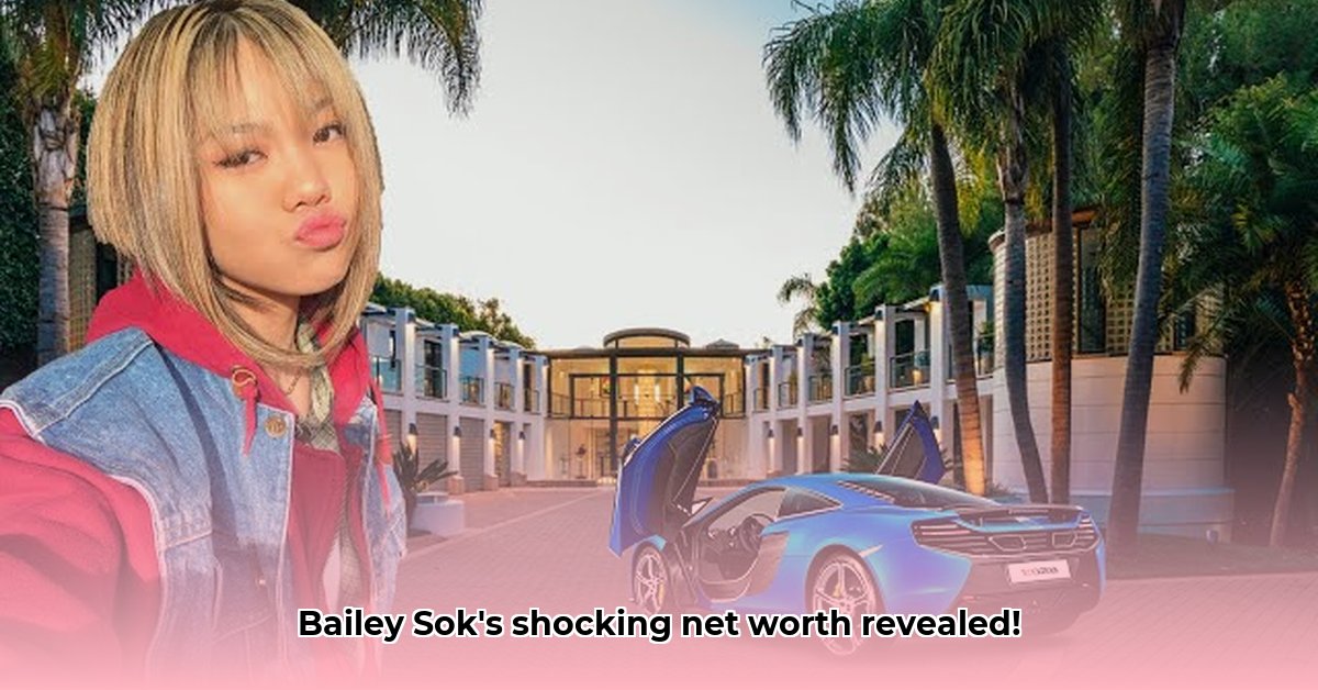 bailey-sok-net-worth